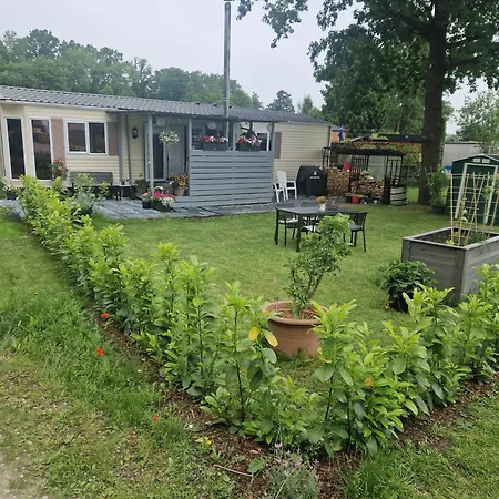 Tiny House Naturbad Aga Holiday home Gera